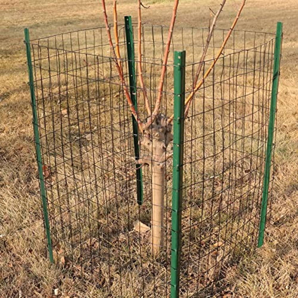 Black welded wire fence panel with 2 in x 3 in square mesh and posts
