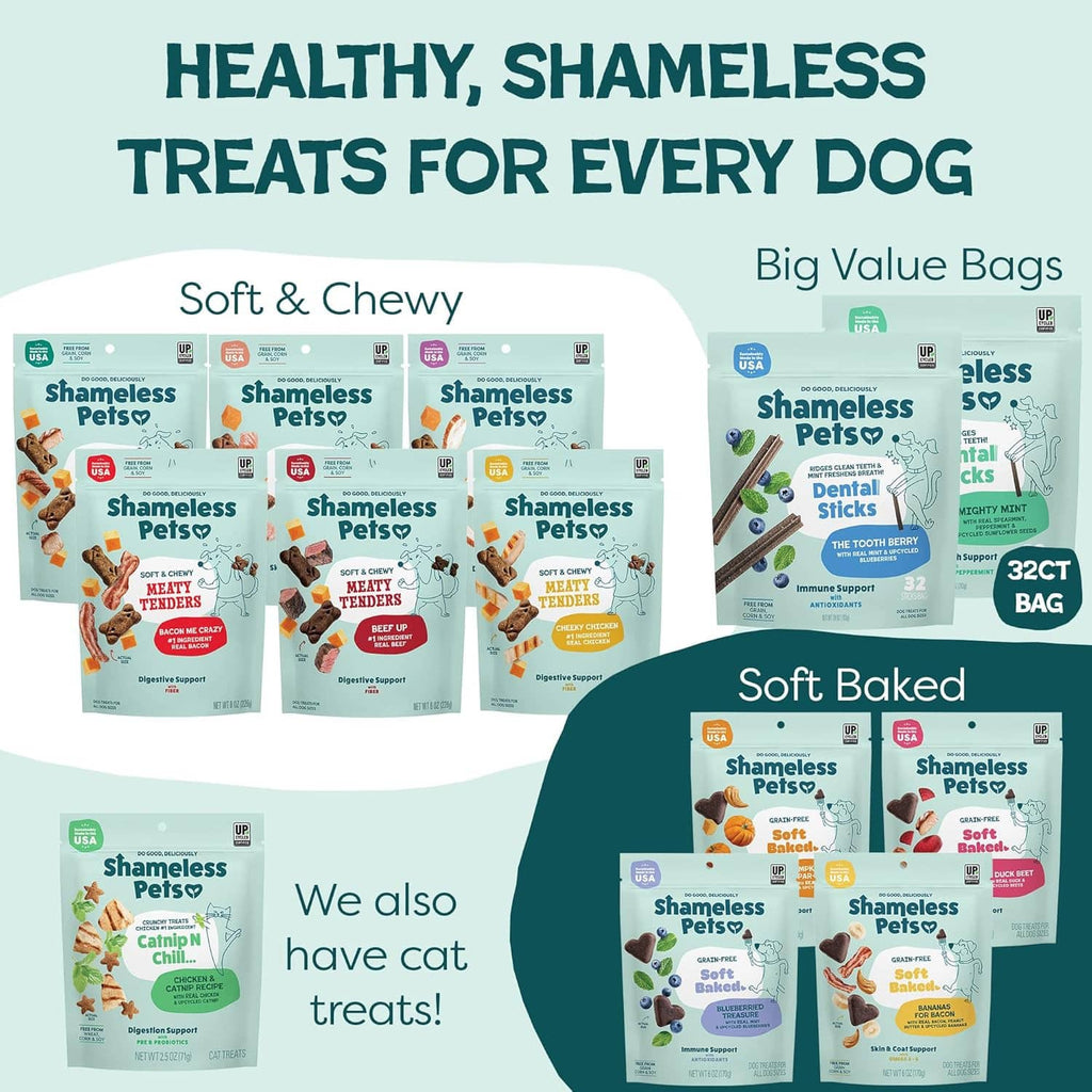 Assorted dog treat bag display featuring multiple small bags labeled “Big Value Bags.”