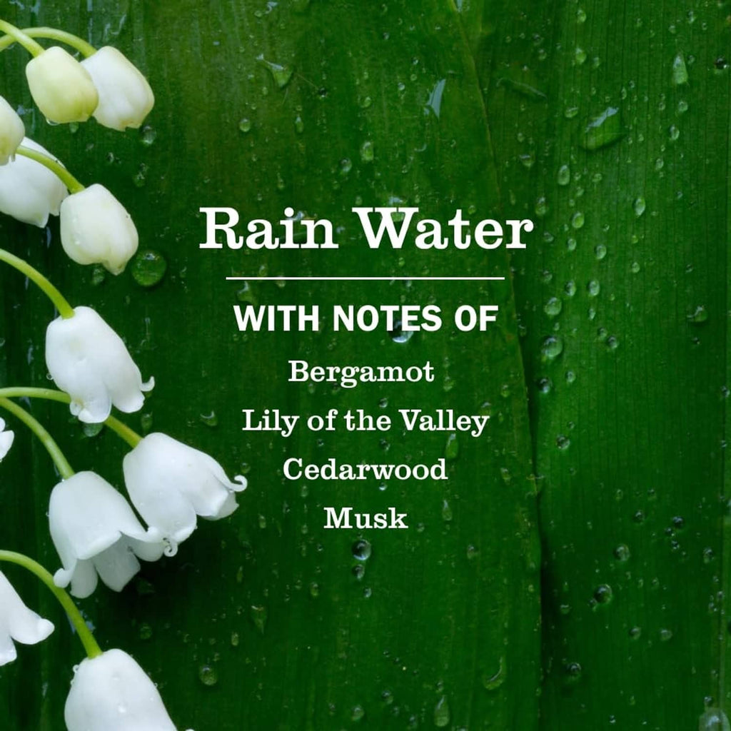 Rain Water scented oil refill notes of bergamot, lily of the valley, cedarwood, musk