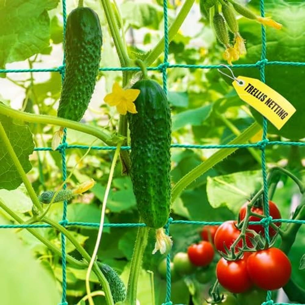 Garden trellis netting with teal square grid supporting green cucumbers and vines