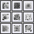 Set of 9 black 12x12 picture frames with clear acrylic cover, grayscale floral photos.
