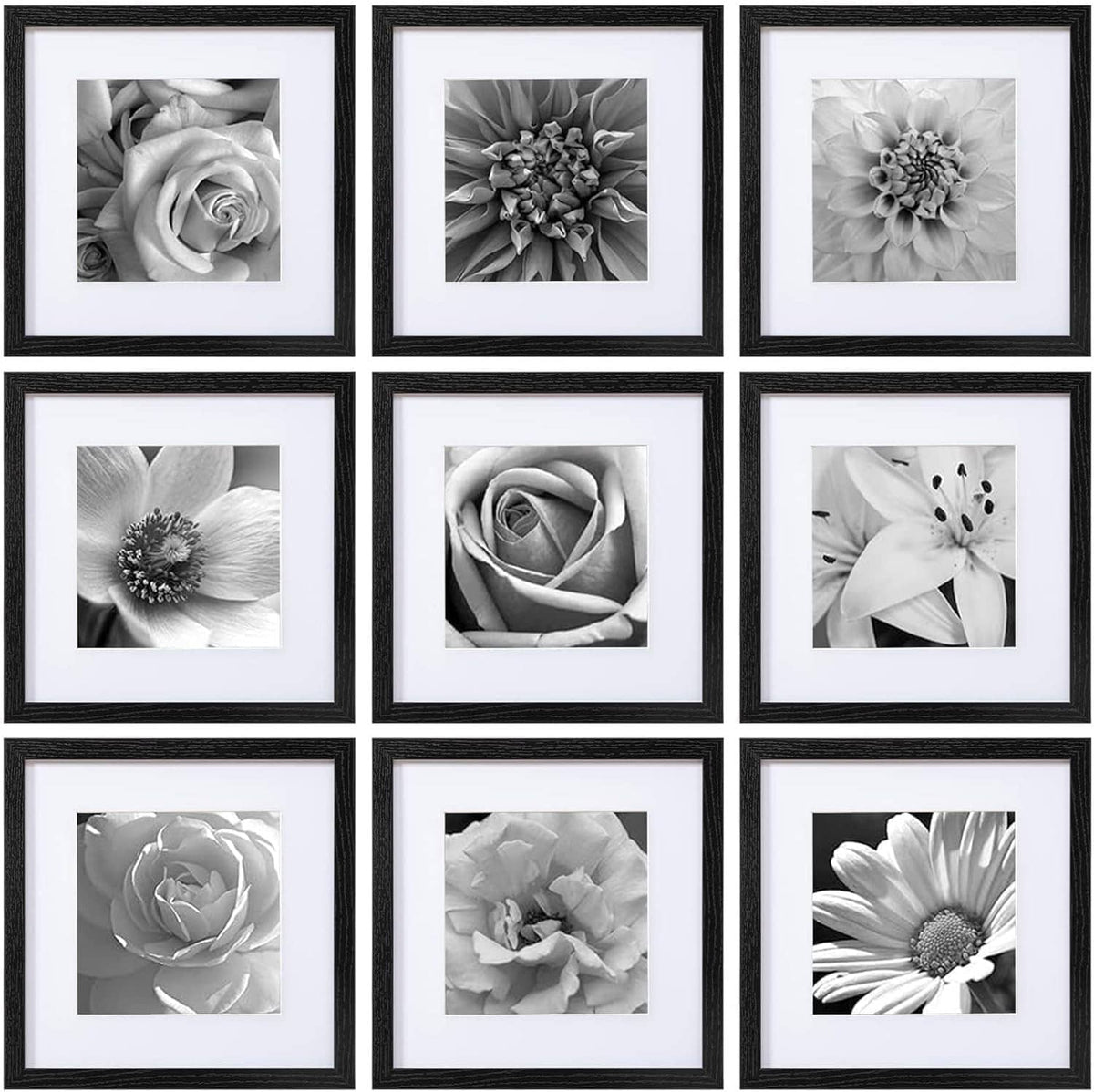 Set of 9 black 12x12 picture frames with clear acrylic cover, grayscale floral photos.