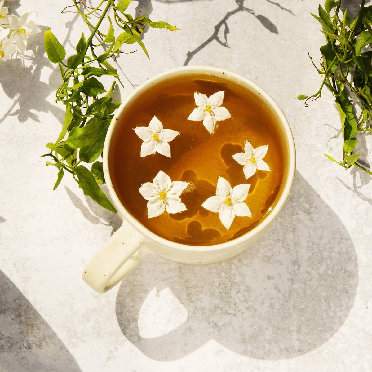 Cup of jasmine green tea with white blossoms floating on top