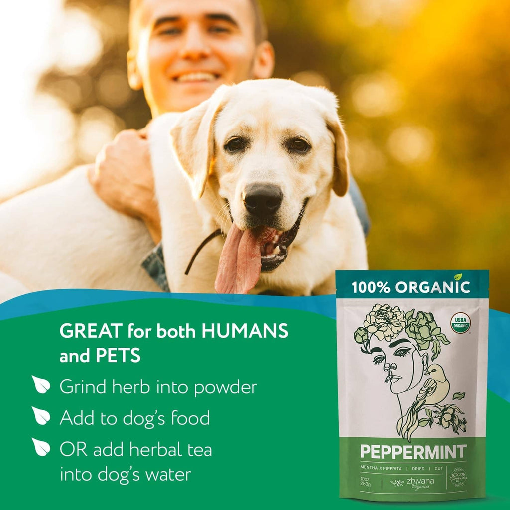 Organic peppermint tea pouch beside human-and-pet use instructions panel