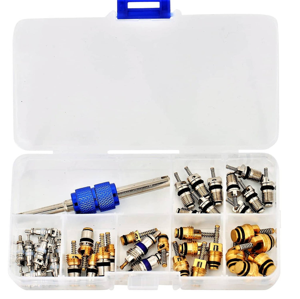 AC valve core kit storage case with blue dual-end removal tool and mixed cores