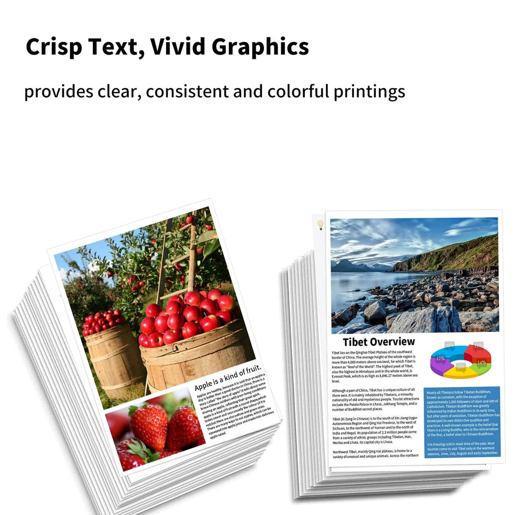 Ink cartridge replacement producing colorful photo prints with landscape and fruit pages