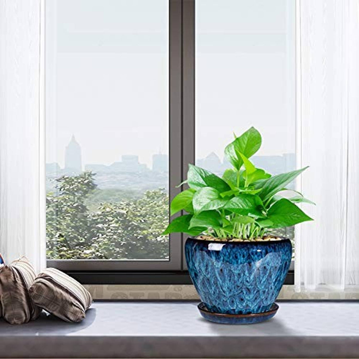 Blue glazed ceramic succulent planter pot on saucer