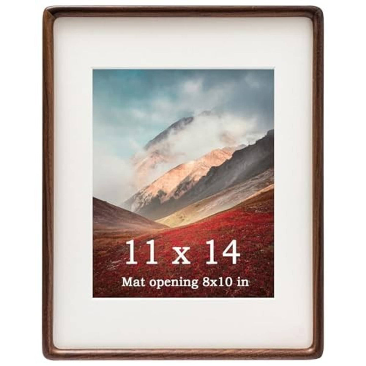 Walnut wood picture frame front view with white mat, holding 11 x 14 photo