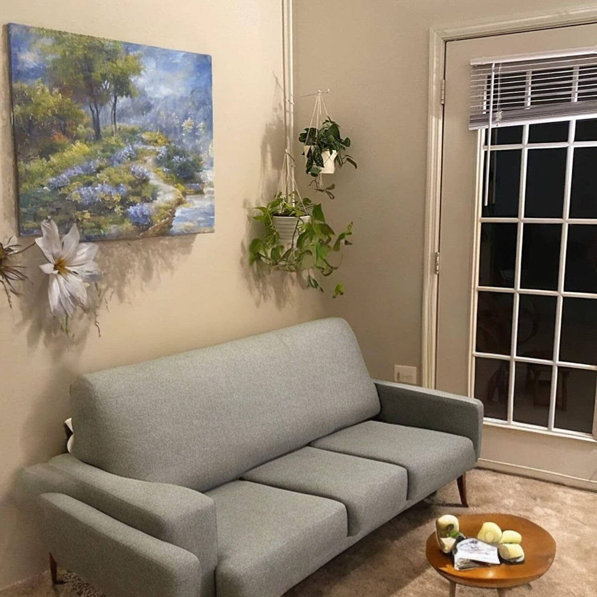 Window spring tension rod with three adjustable arms holding trailing indoor plants