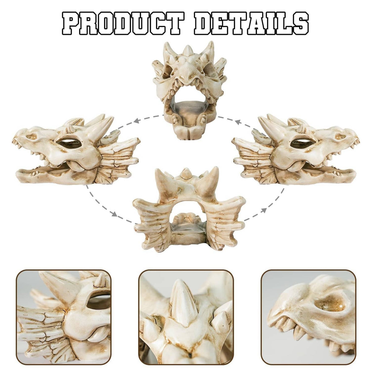 White dragon skull ornament set showing front, side, and top angles