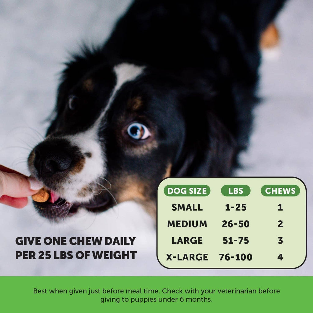 Dog chew feeding chart showing daily chews by size with a dog holding a chew