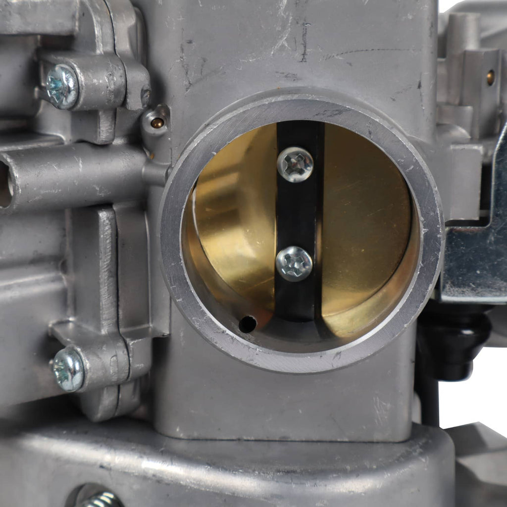 Carburetor bore with brass interior parts and two visible screws