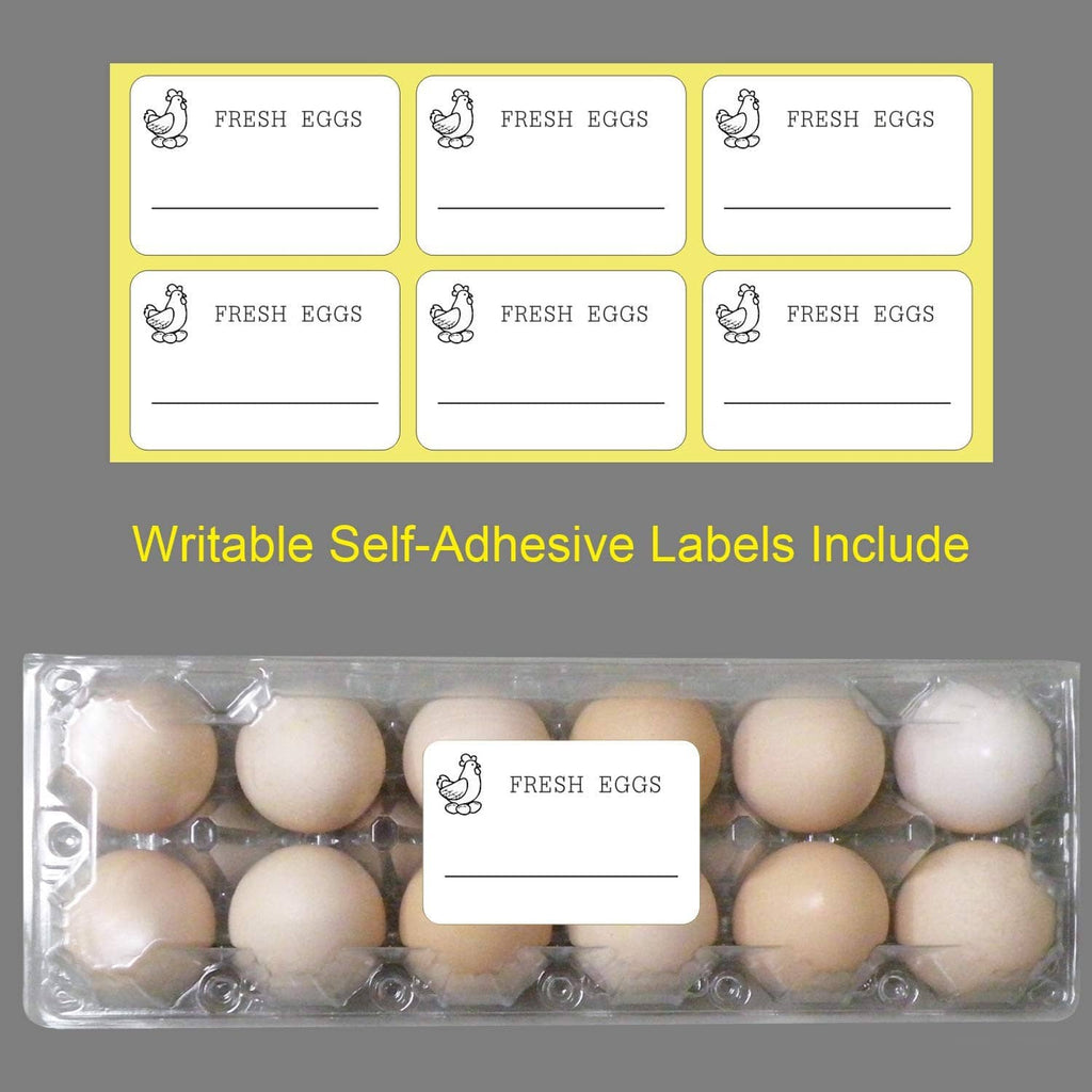 Set of fresh eggs self-adhesive labels with clear plastic egg carton