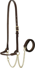 Brown leather cattle halter with brass buckles, linked chain, and adjustable strap.