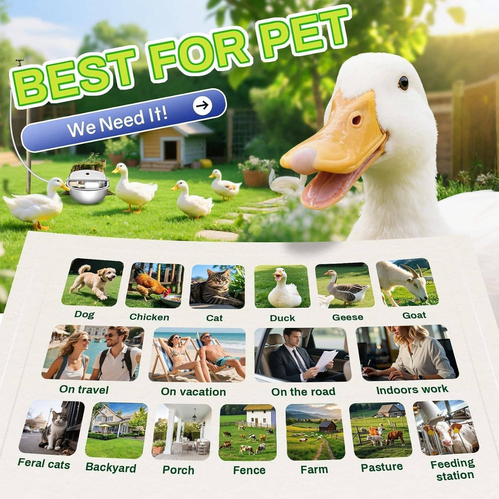 Automatic pet water dispenser bowl with float valve, accessory set shown in box layout