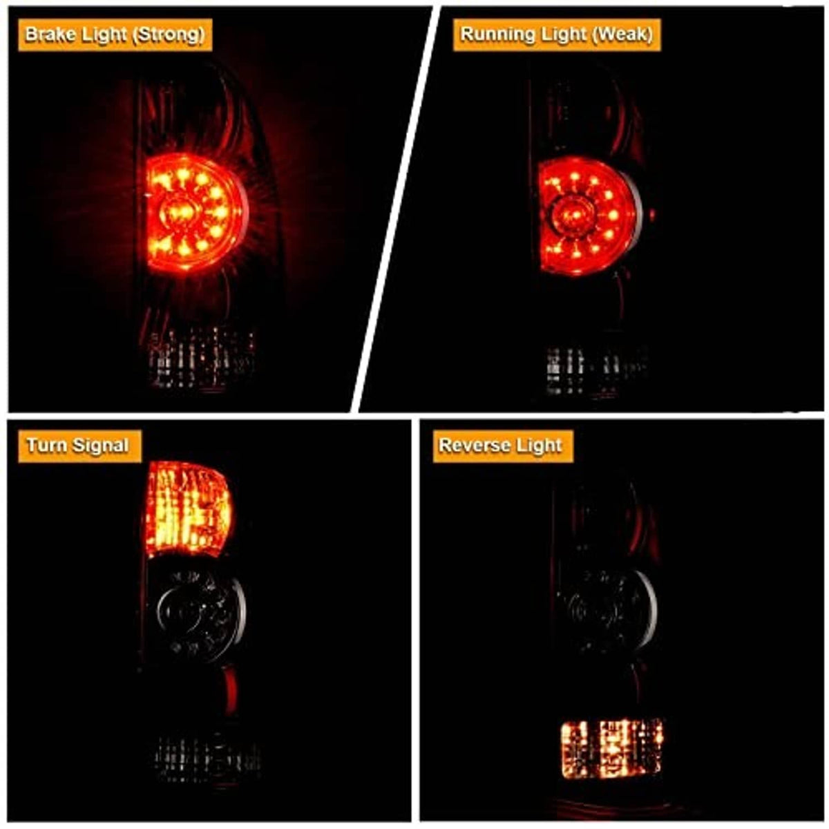 Rear tail light lamp assembly showing illuminated red functions: brake, turn, reverse