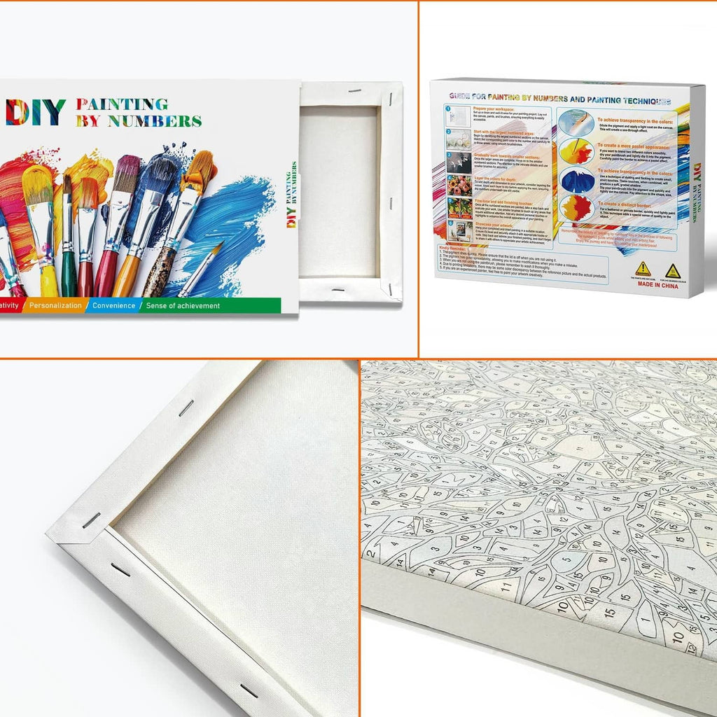 Paint-by-numbers kit box with instruction panels and numbered canvas sheets
