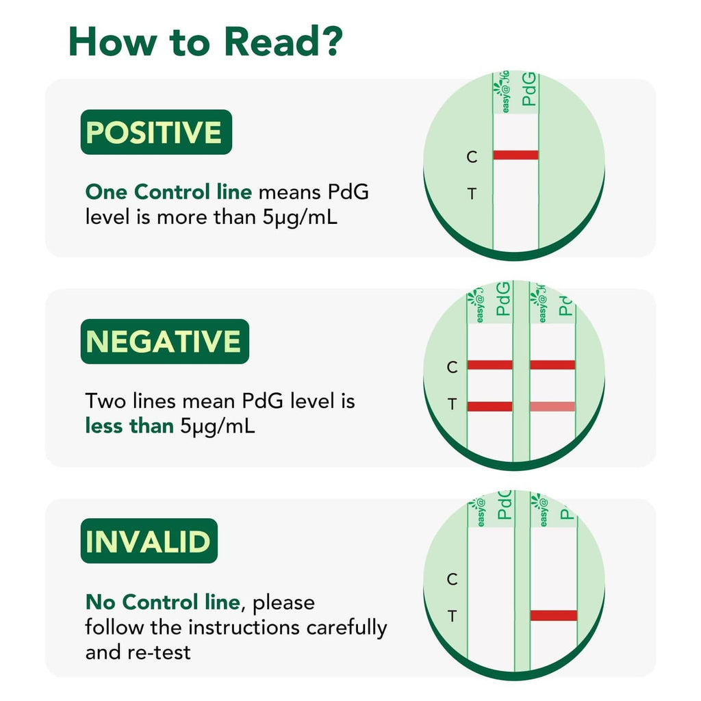 Result guide for PdG urine test with positive, negative, and invalid lines