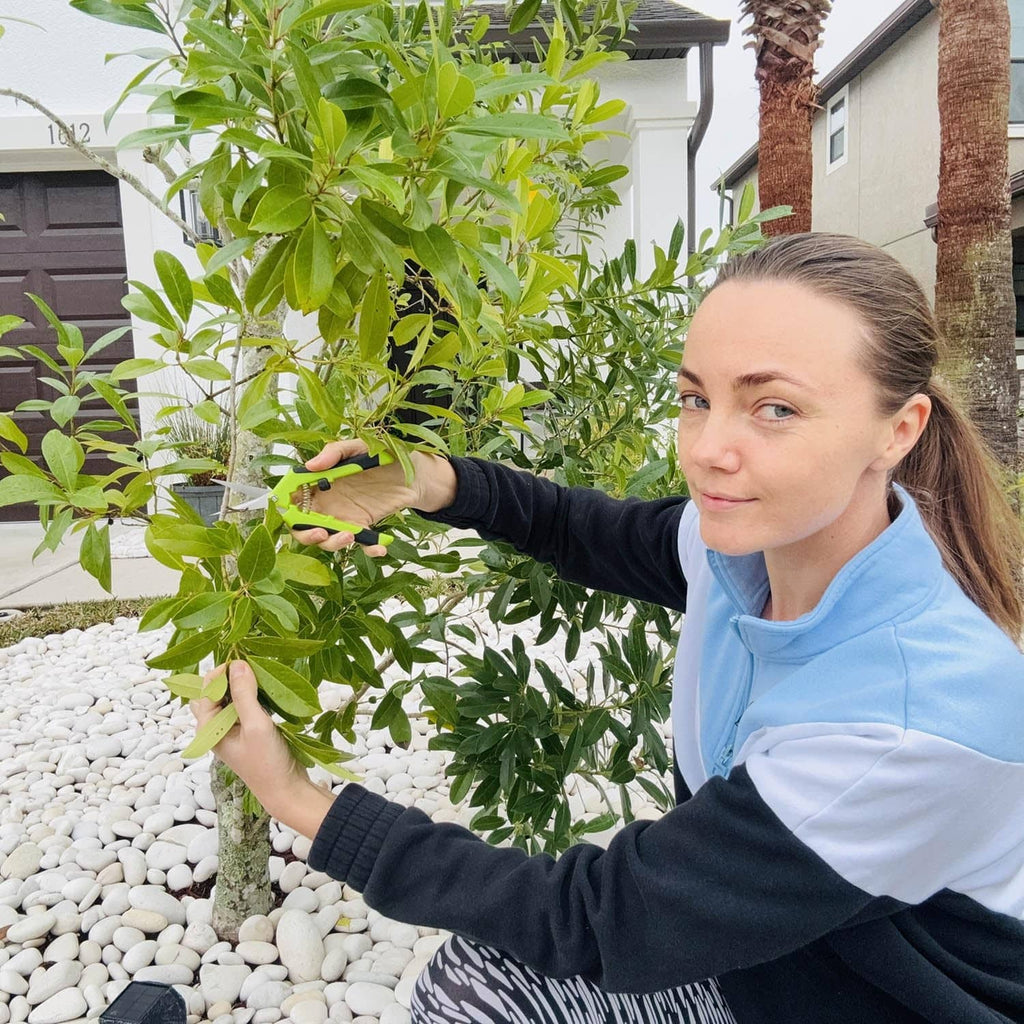 Green pruning shears held by a person trimming a leafy shrub in a yard