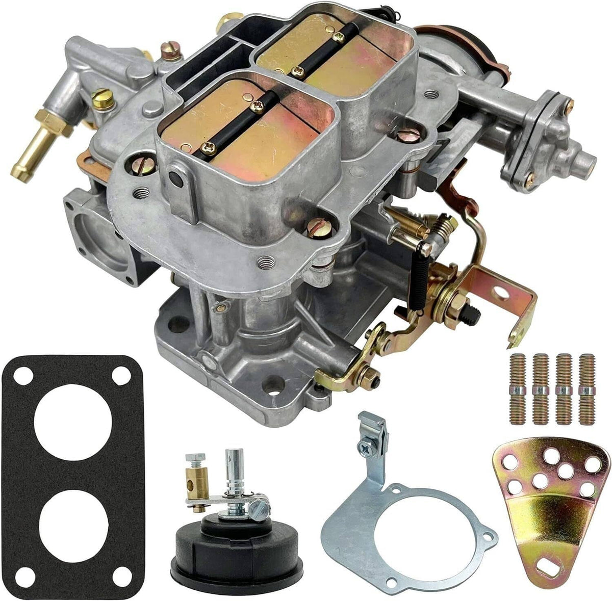 Carburetor kit with gaskets, mounting plate, screws, diaphragm and fuel pump components