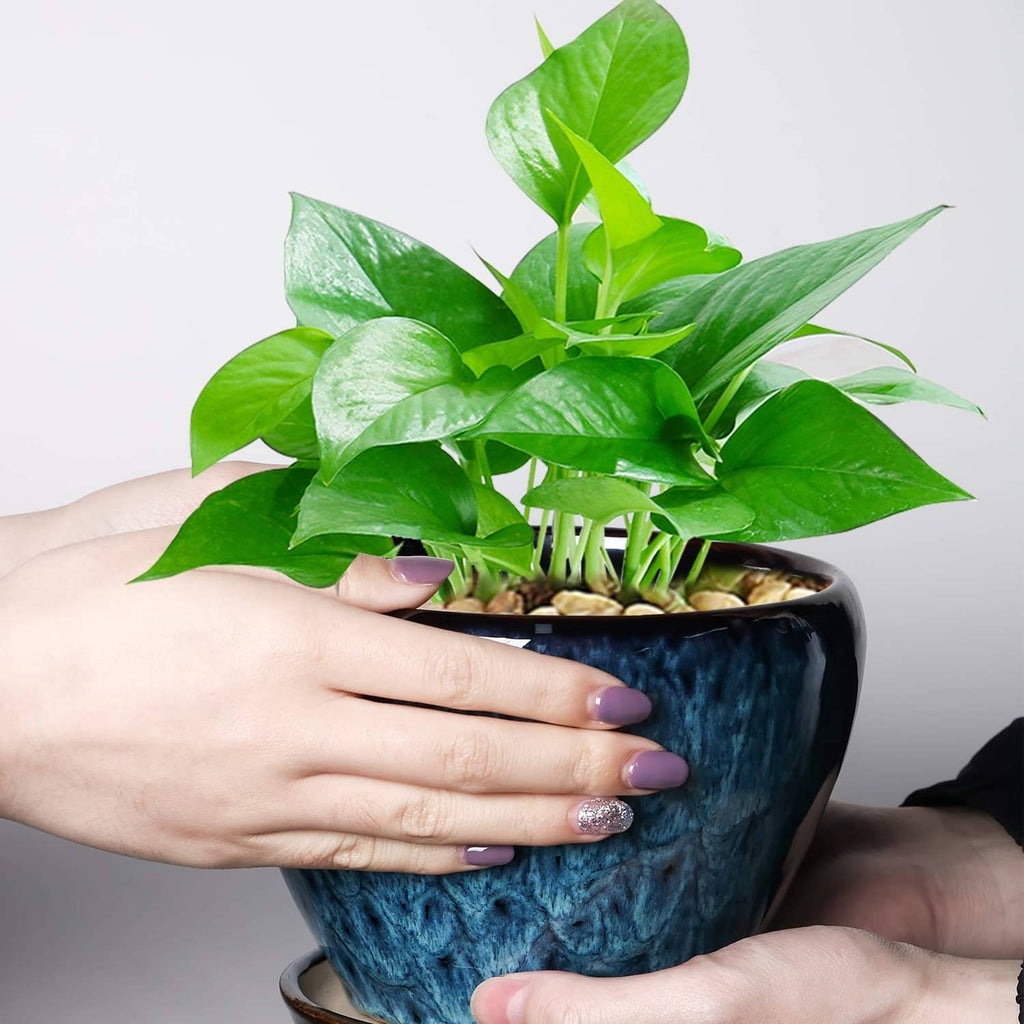 Blue glazed ceramic succulent planter pot held by hands