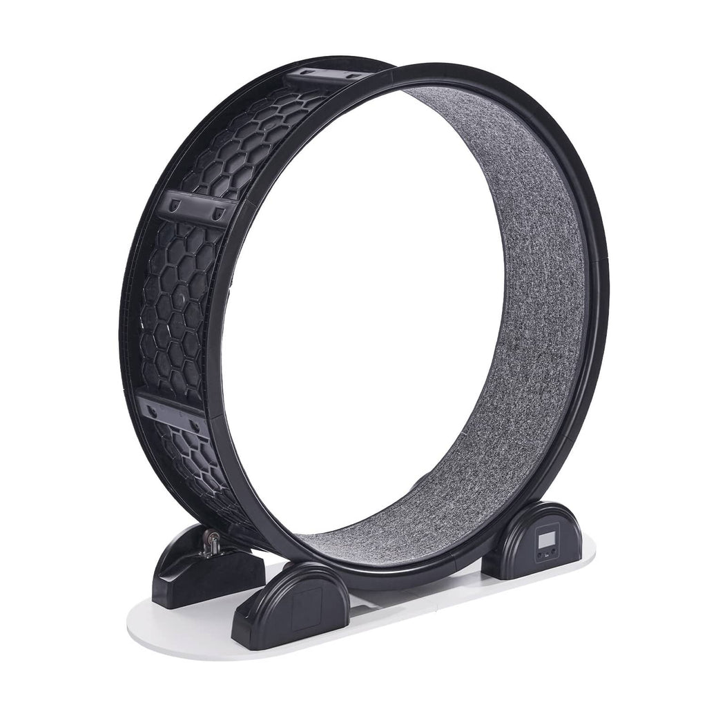 Black cat exercise wheel with textured side rim and grey carpet running surface