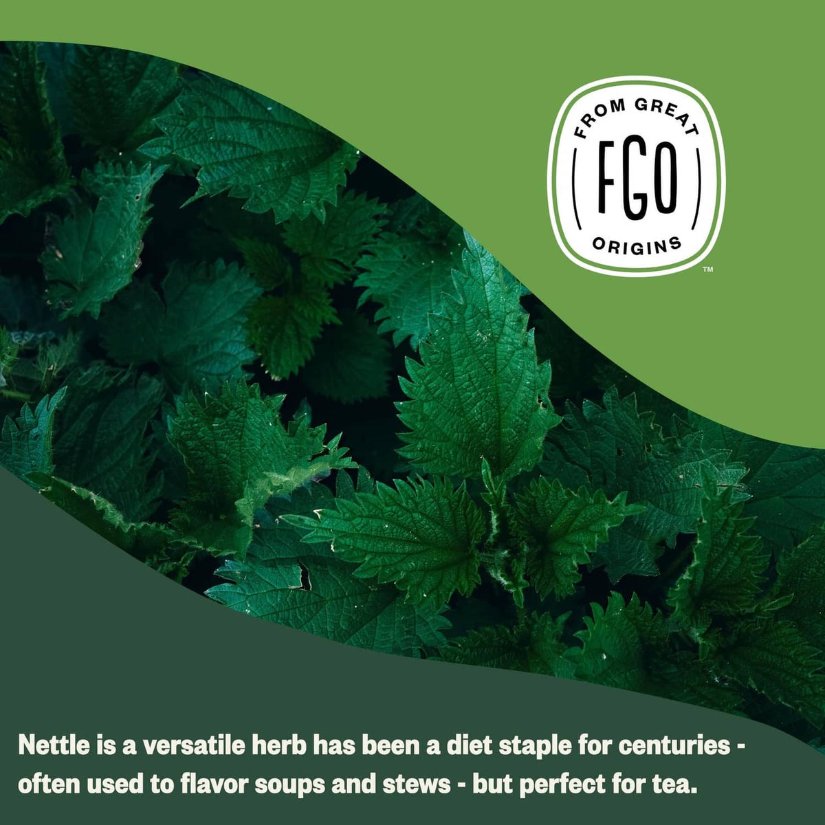 Organic nettle plant leaves shown as loose tea ingredient