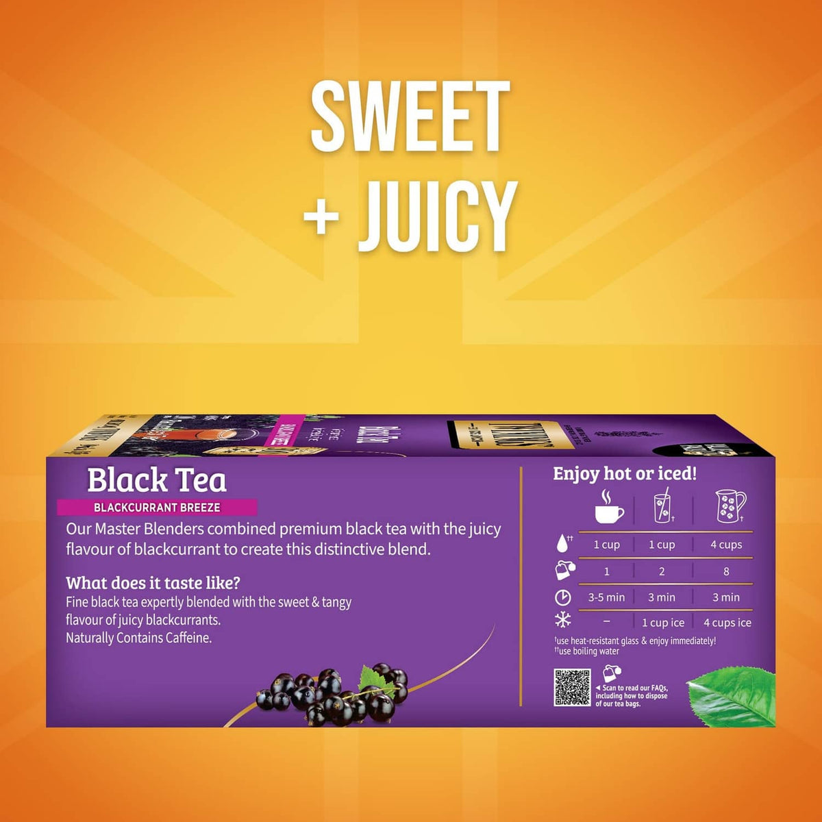 Twinings Blackcurrant Breeze black tea box with serving instructions