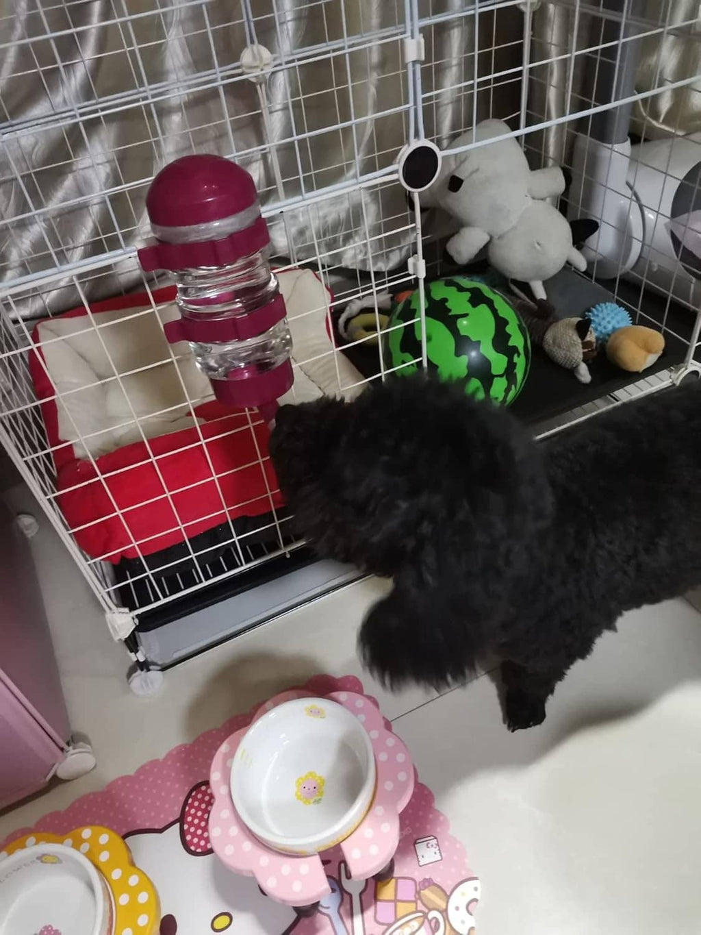 Dog kennel no-drip water bottle dispenser attached inside a metal crate