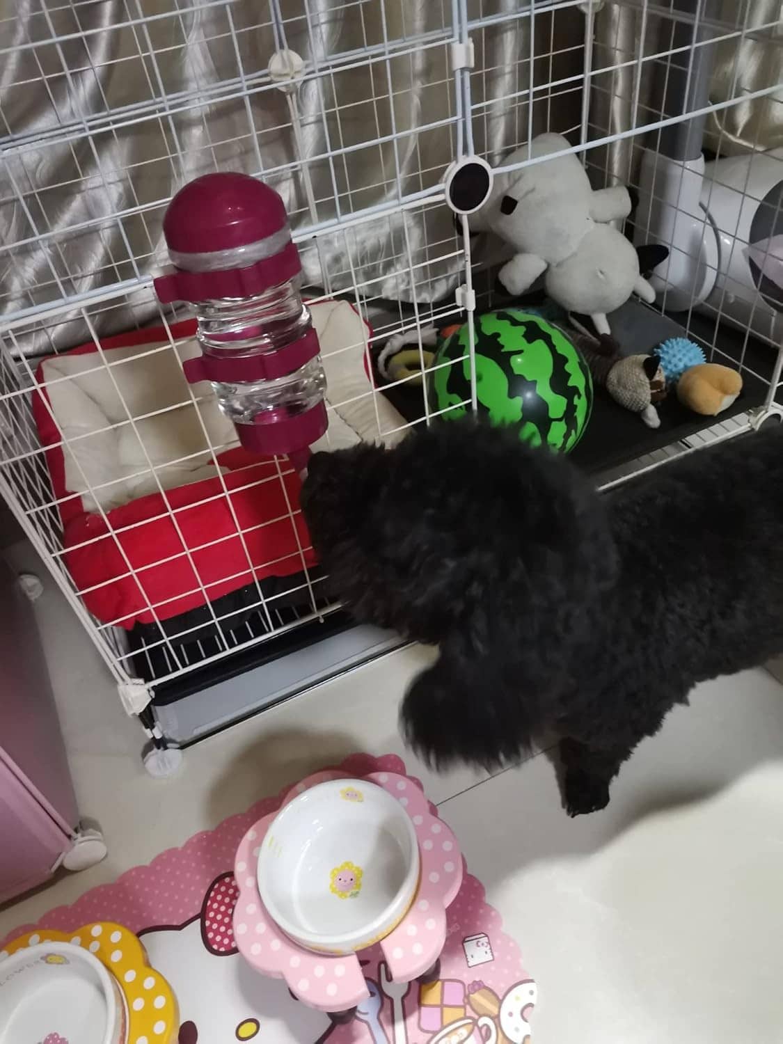 Dog kennel no-drip water bottle dispenser attached inside a metal crate