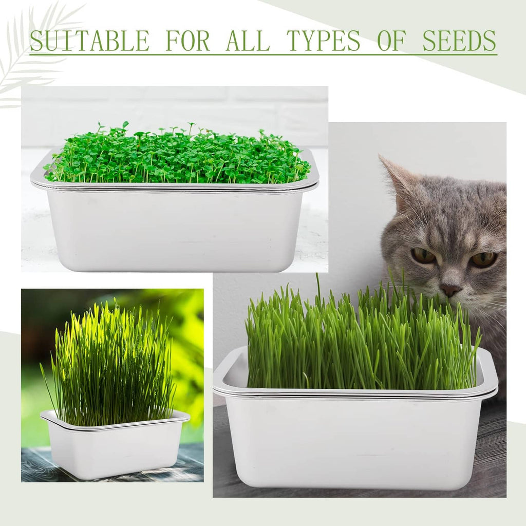 White base sprouting tray with green sprouts and stainless insert