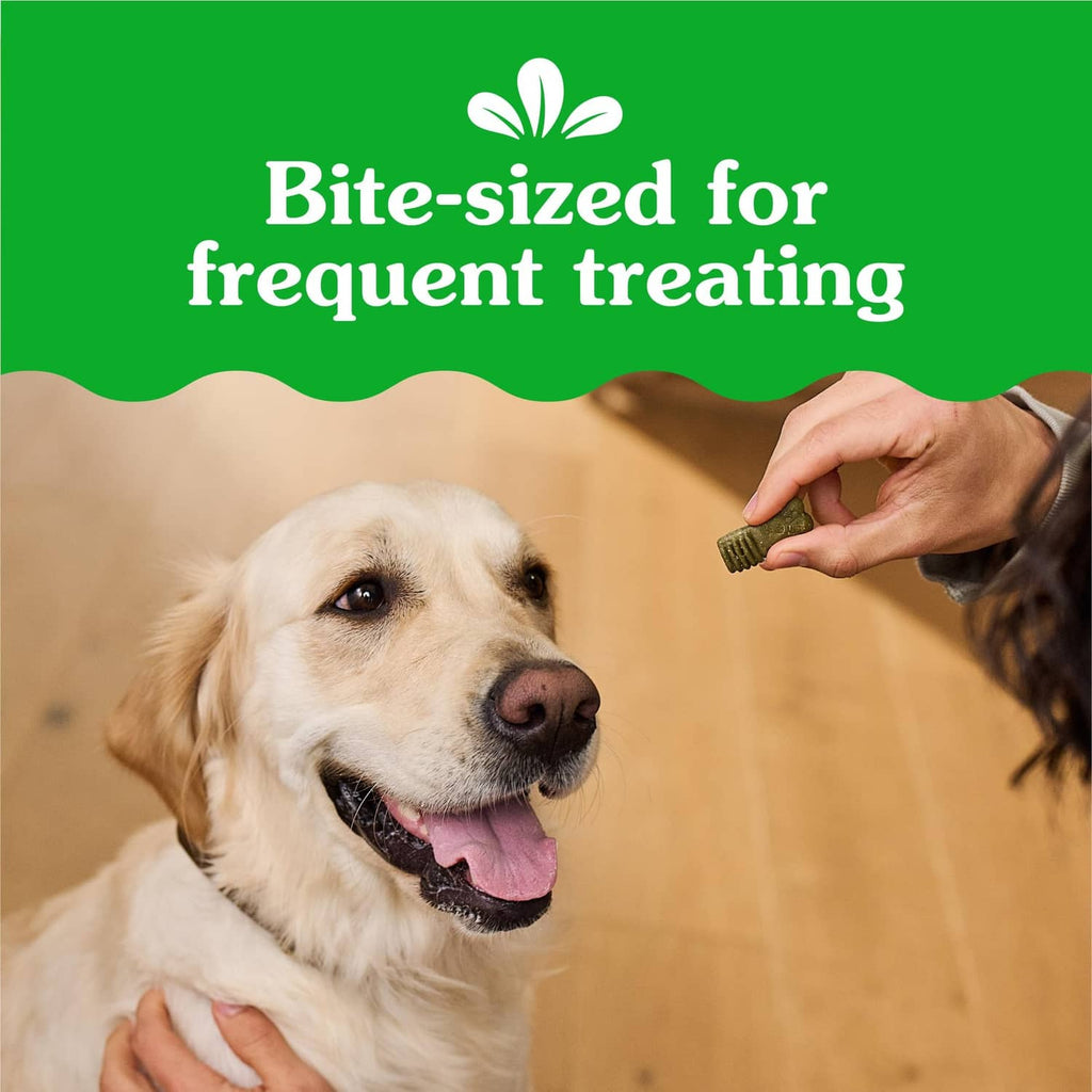 Dog receiving Greenies Anytime Bites treats; bite-sized for frequent treating