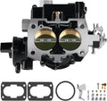 Marine carburetor with choke, black housing and dual round bores with brass inserts