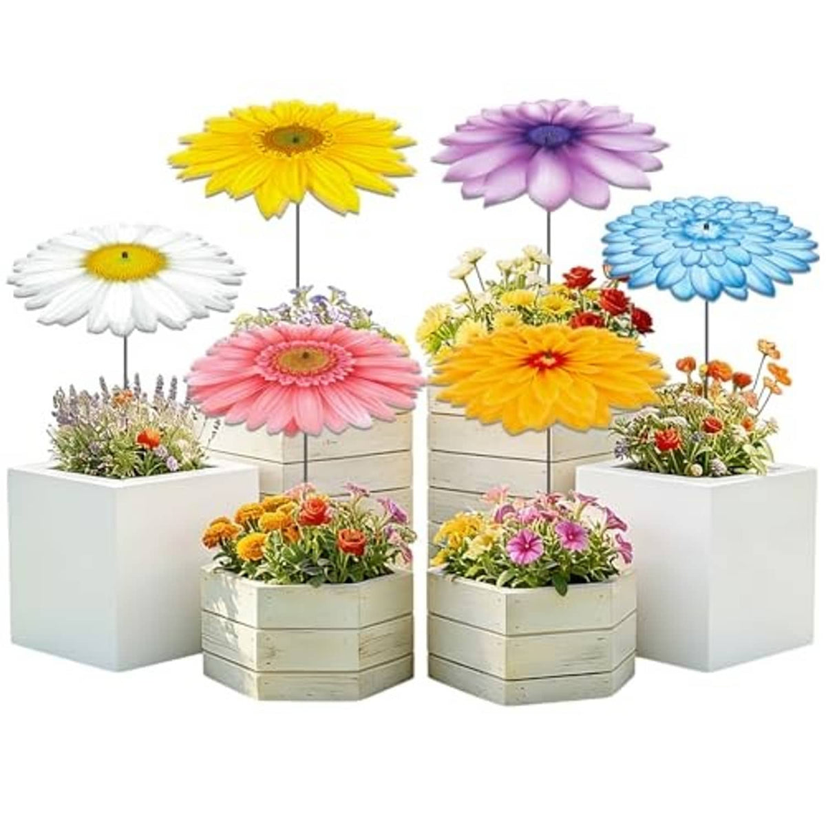 6-pack corrugated plastic flower plant umbrellas on stakes with mixed daisy-style blooms