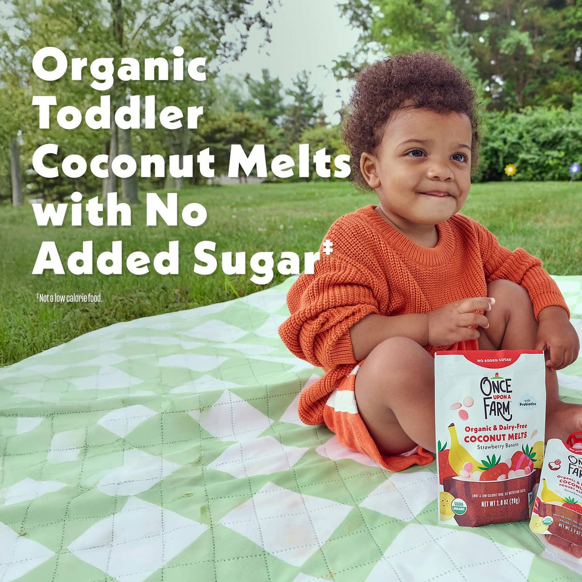 Toddler organic coconut melts pouch with no added sugar, probiotic strawberry banana flavor