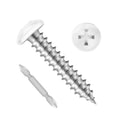 Pan head self tapping screw set, white cross-recess head and silver threads with sharp tip.