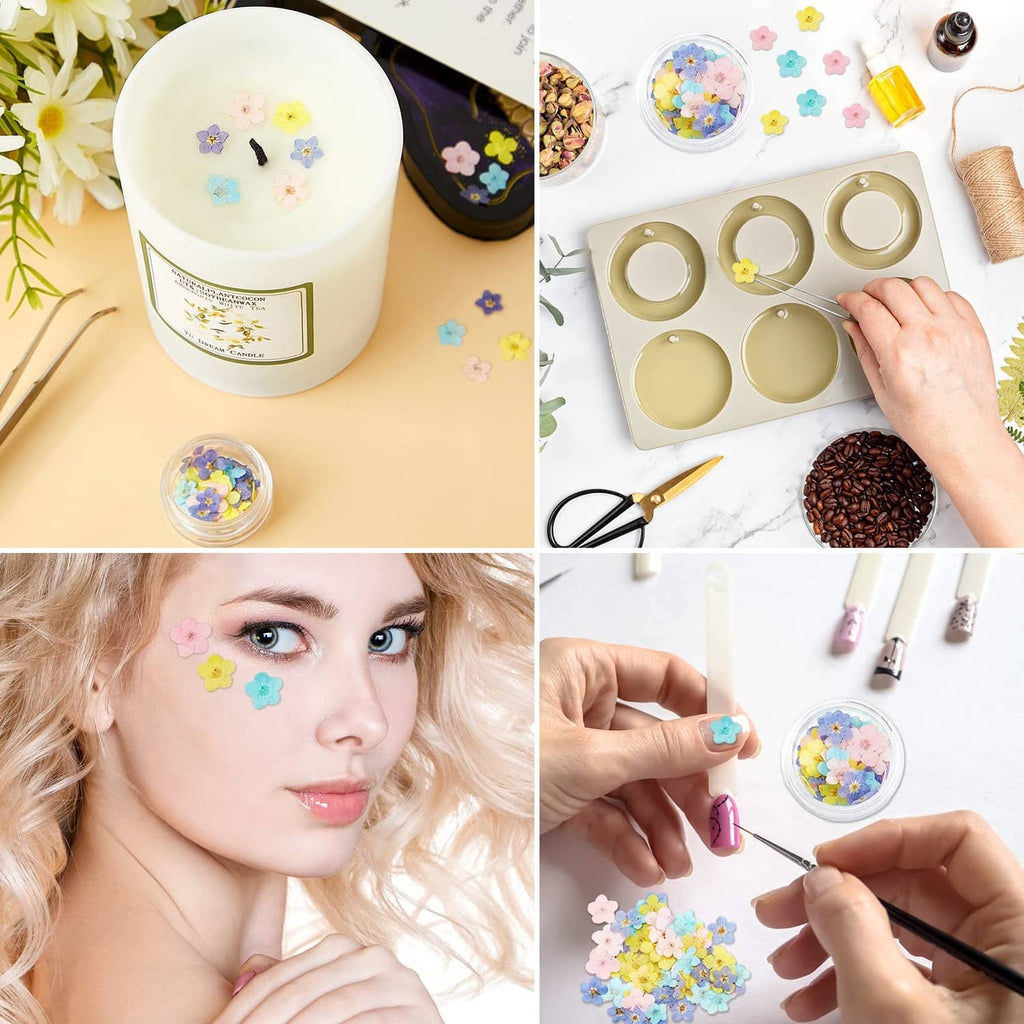 Pressed flower blooms in a small jar for crafting, plus face decoration