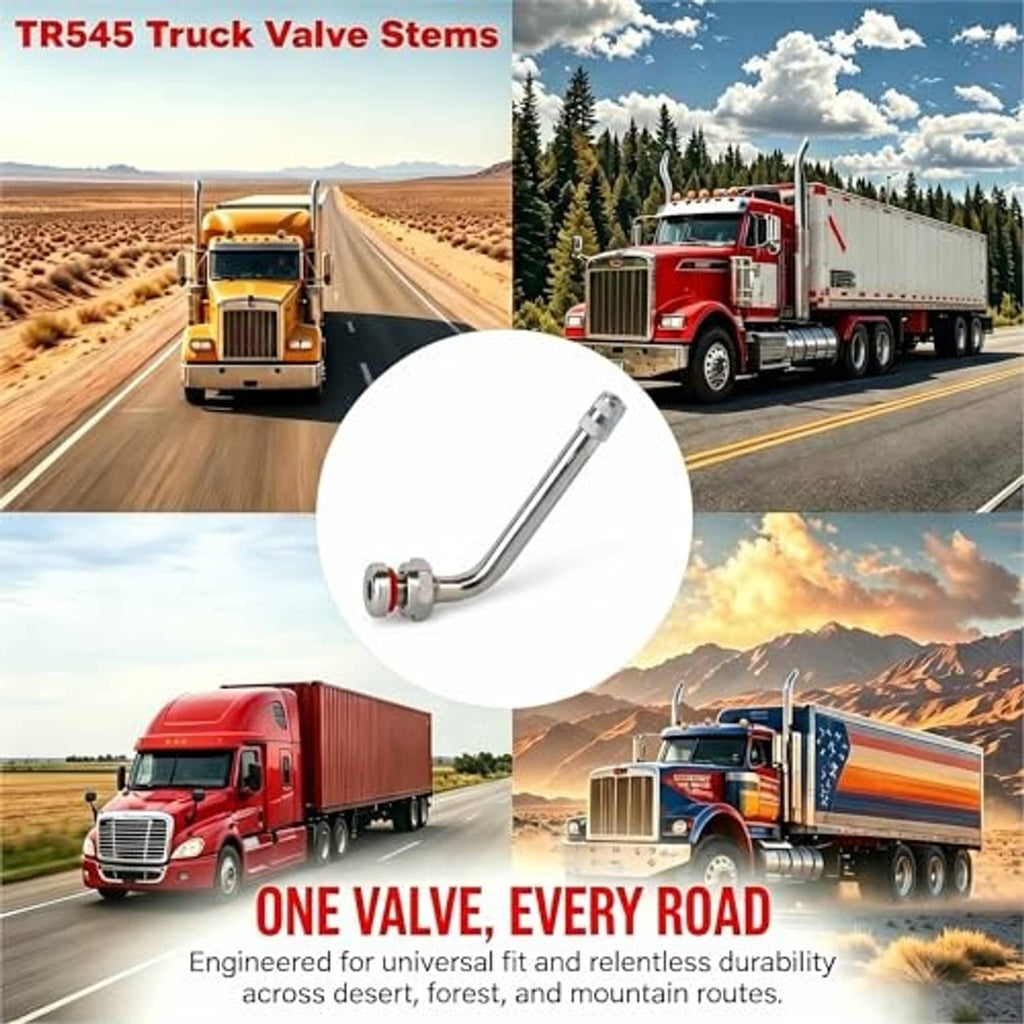 Silver 60° truck tire valve stem with knurled cap and red sealing O-ring