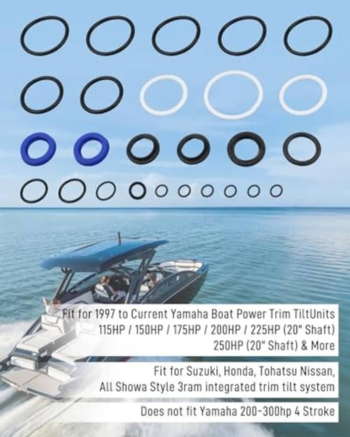 Tilt trim seal kit O-rings laid out in rows, black and blue rings among white outlines