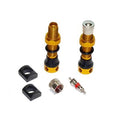Gold alloy tubeless Schrader valves with caps, cores, and black rubber mounting pieces
