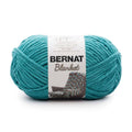 Bernat Blanket super bulky chenille yarn ball in teal with paper label