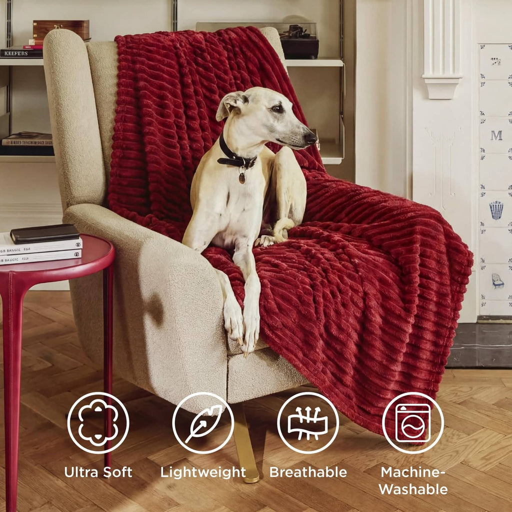 Red plush ridged blanket covering chair with dog sitting on it