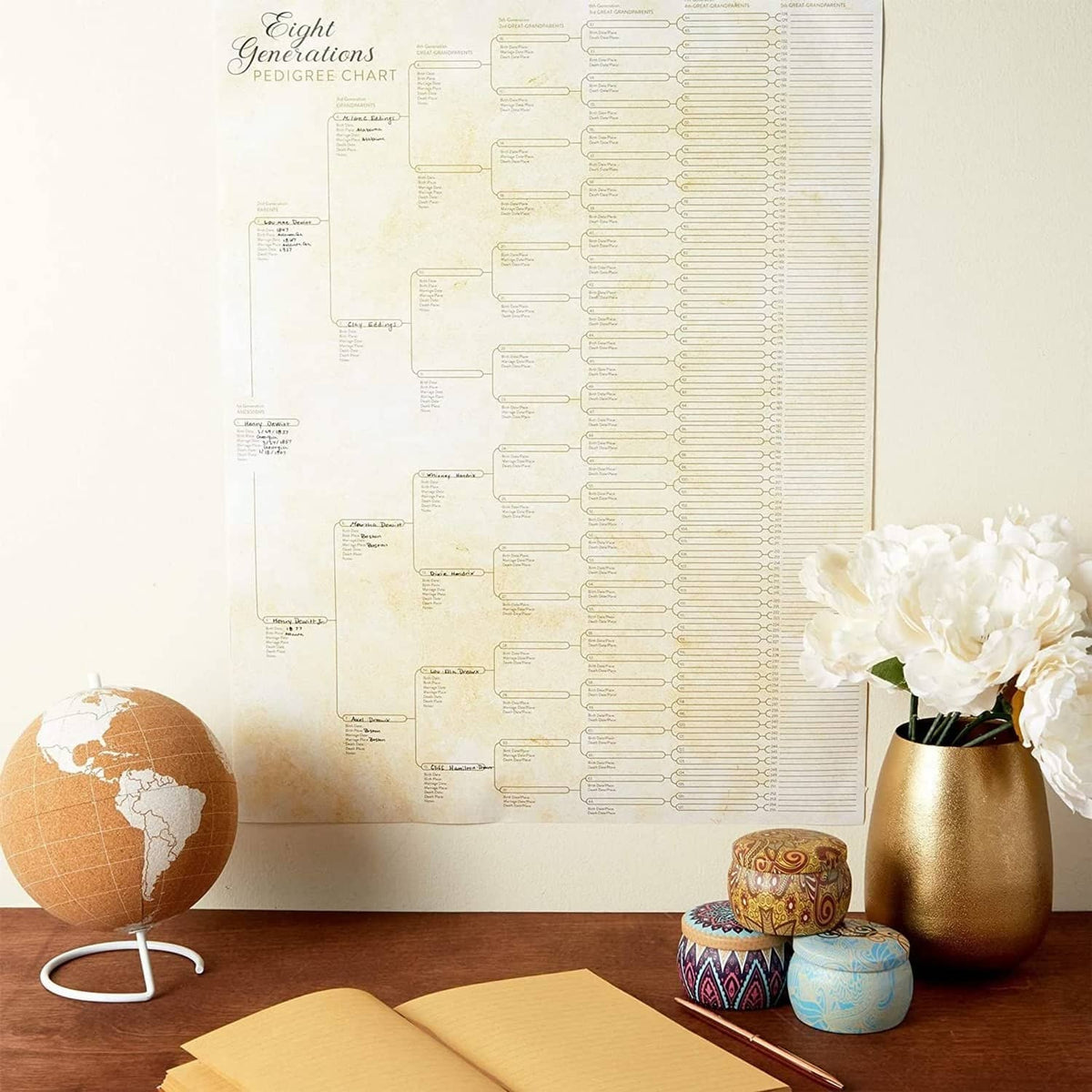 Off-white family tree pedigree chart with connected boxes and writing lines