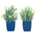 Two artificial green plants in blue pots: bushy leaves and spiky eucalyptus sprigs