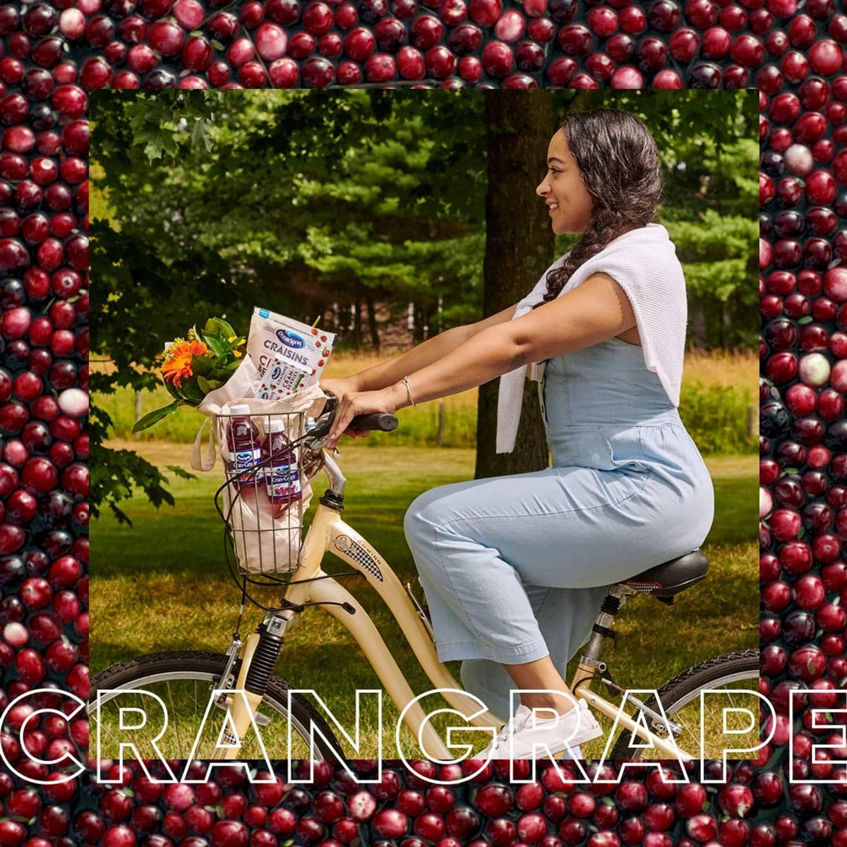Ocean Spray Cran-Grape juice drink multipack in gift basket, held while seated outdoors