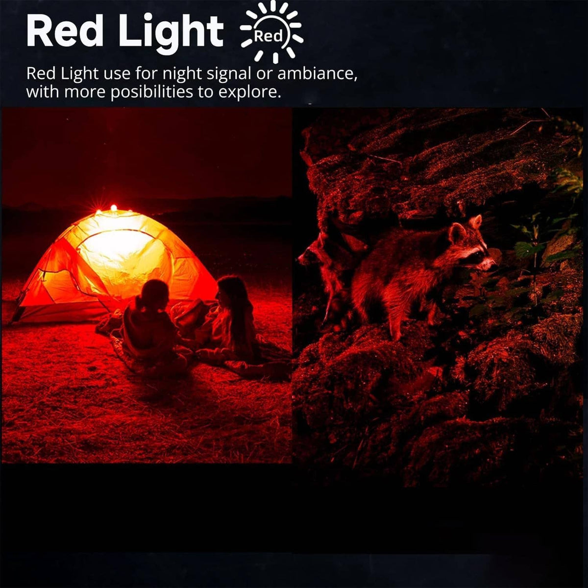 Rechargeable pocket flashlight emitting red warning light