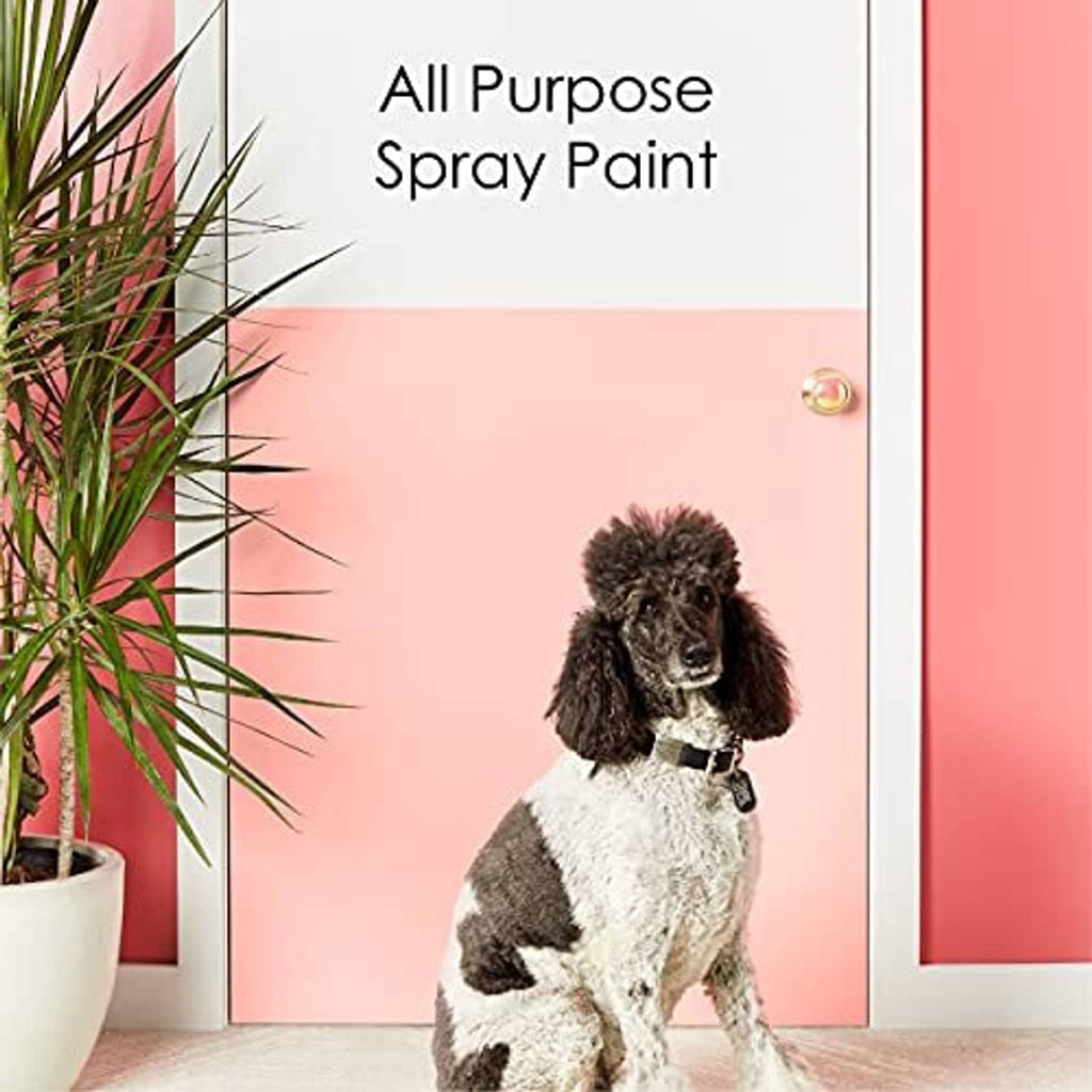 White spray-painted door with framed panels, with a small dog in the entry