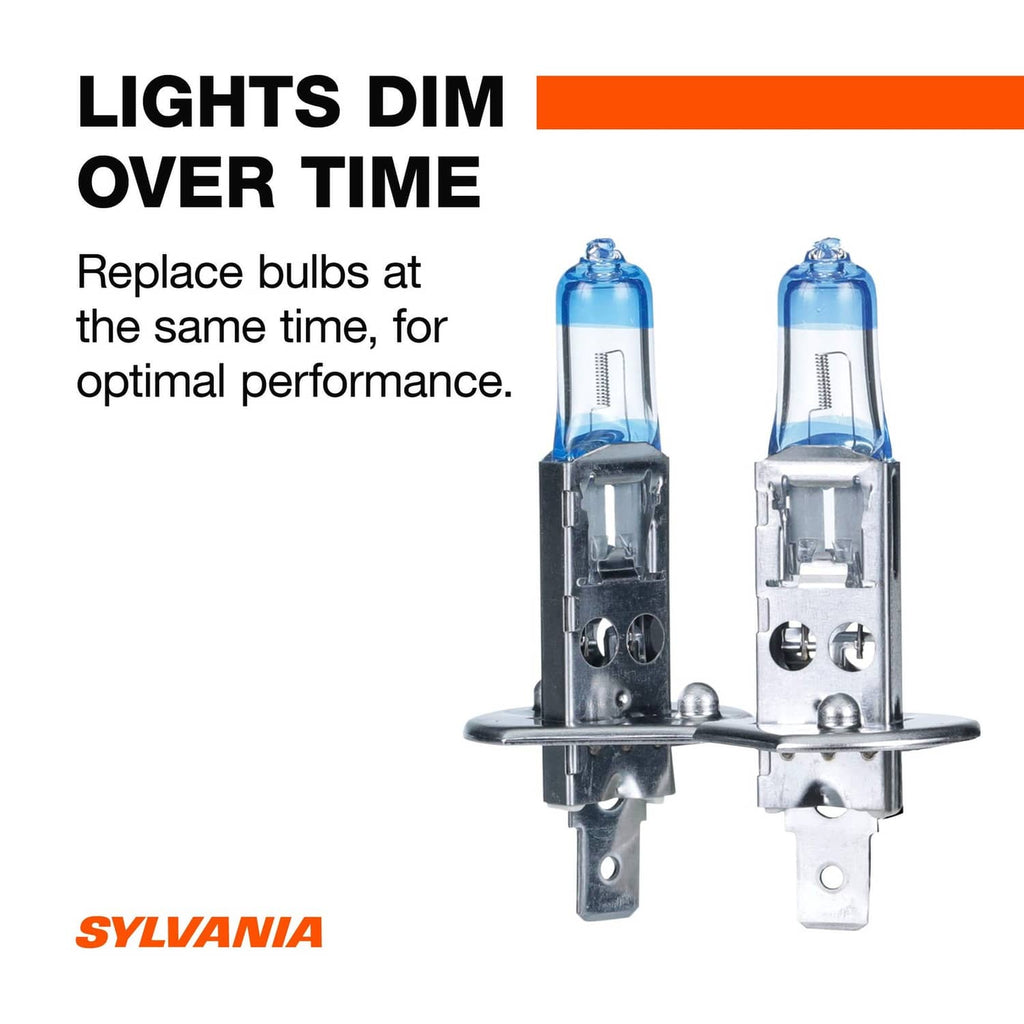 Two H1 halogen headlight bulbs with blue-tinted glass and metal bases