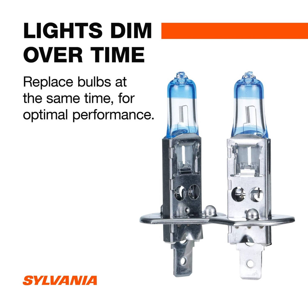 Two H1 halogen headlight bulbs with blue-tinted glass and metal bases