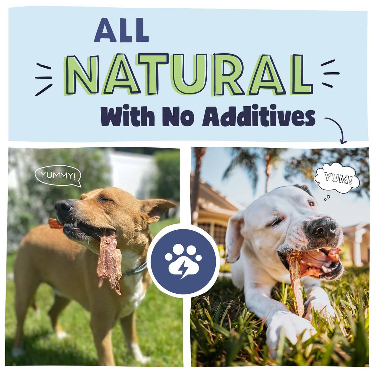 Two dogs enjoying beef jerky strips, all-natural no additives promotional card